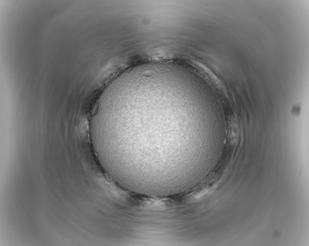 X0000093590523200710291125