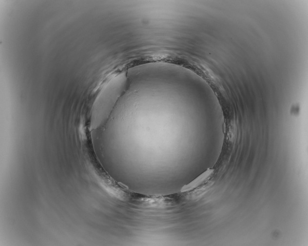 X0000093590524200710291125