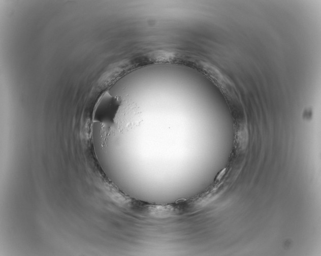 X0000093590525200710291125