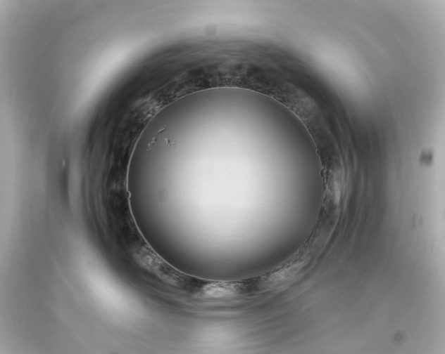 X0000093590526200710291125