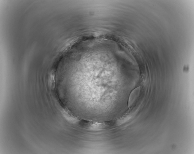 X0000093590527200710291125