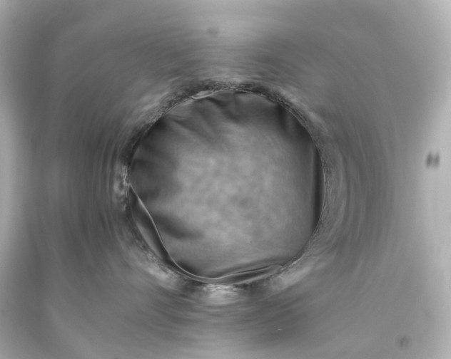 X0000093590528200710291125