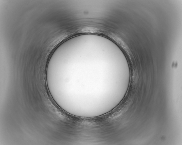 X0000093590529200710291124