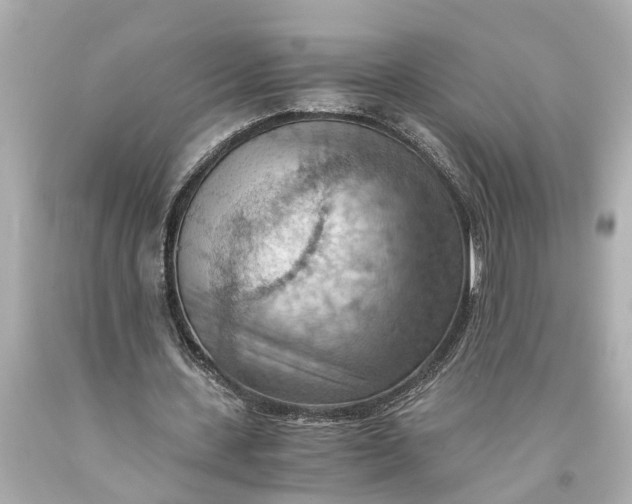 X0000093590531200710291124