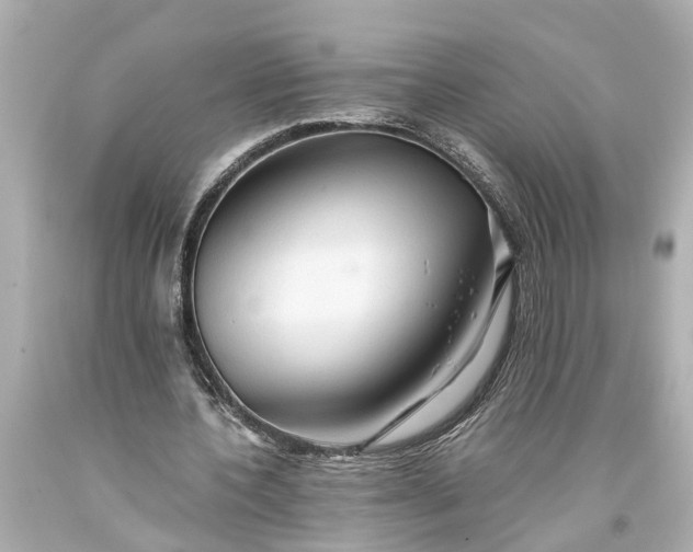 X0000093590532200710291124