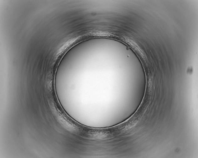 X0000093590533200710291124
