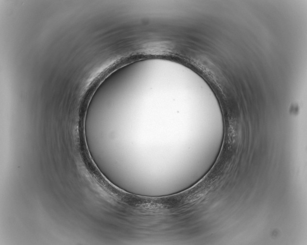 X0000093590535200710291124