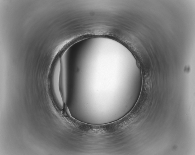 X0000093590536200710291124