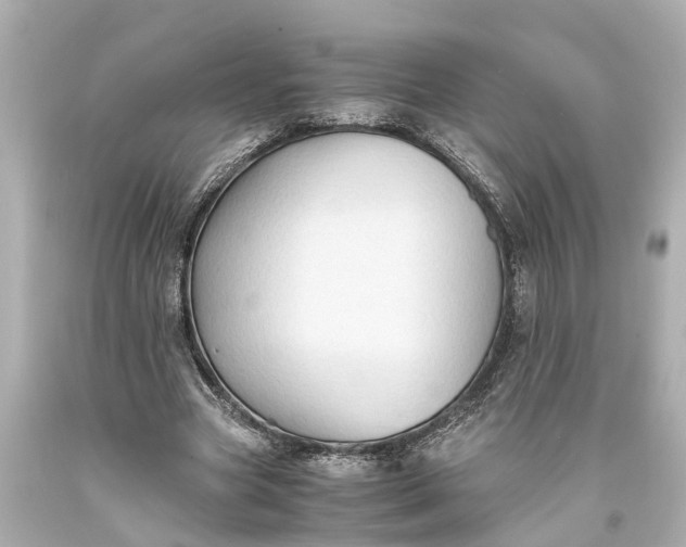 X0000093590537200710291124