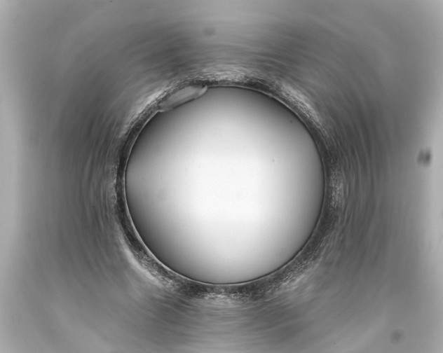 X0000093590538200710291124