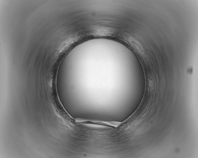 X0000093590539200710291124