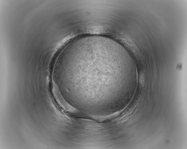 X0000093590540200710291124