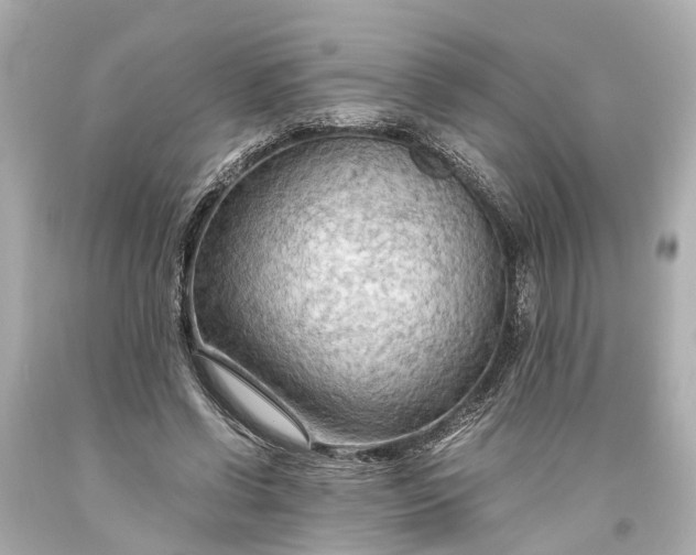 X0000093590542200710291124