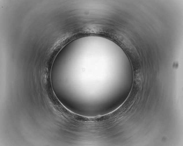 X0000093590544200710291124