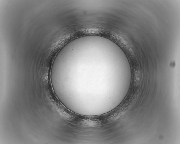 X0000093590545200710291124