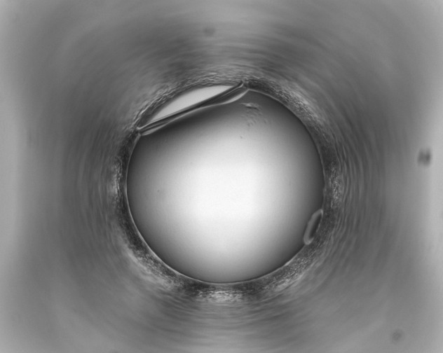 X0000093590546200710291124