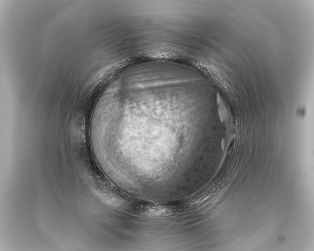X0000093590547200710291124