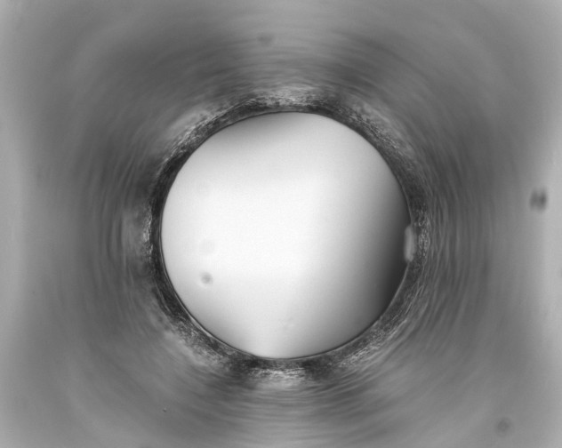 X0000093590548200710291124