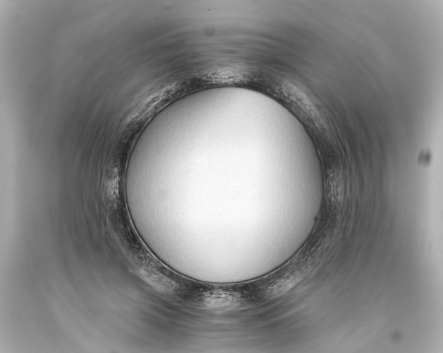 X0000093590549200710291124