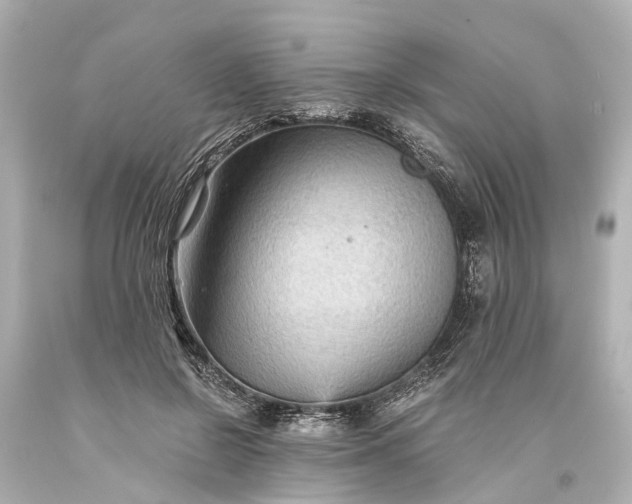 X0000093590550200710291124