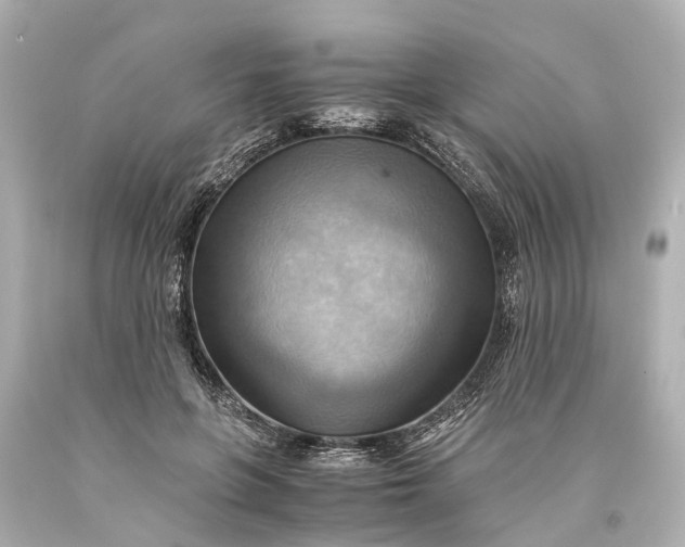 X0000093590551200710291124