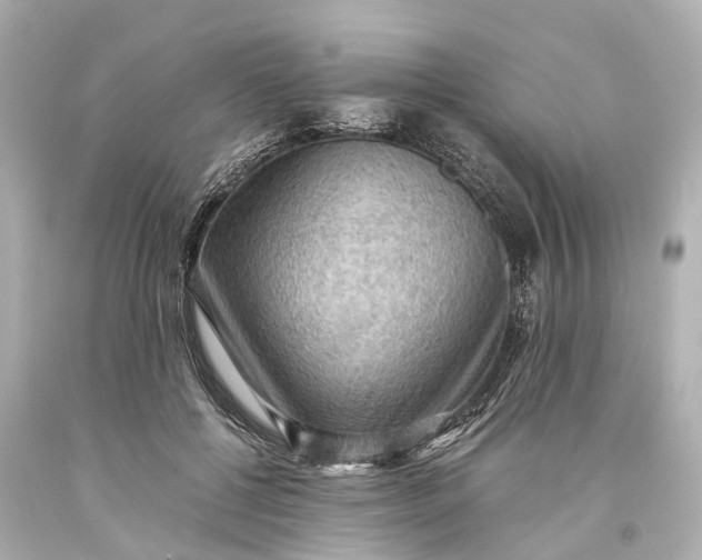 X0000093590552200710291124