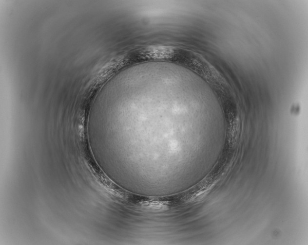 X0000093590553200710291124