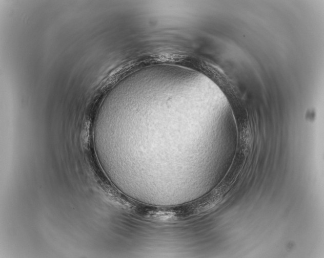 X0000093590554200710291124