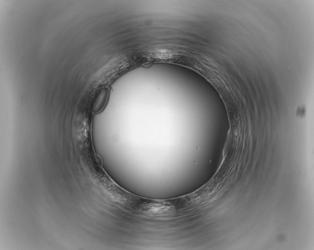 X0000093590555200710291124