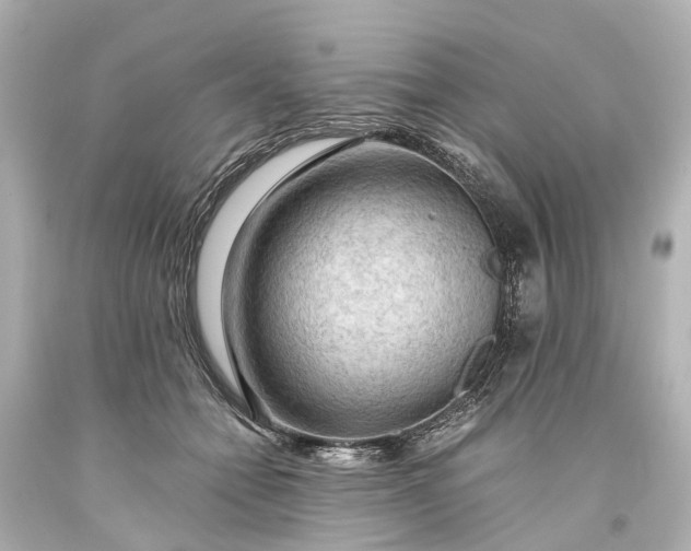 X0000093590558200710291125