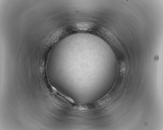 X0000093590559200710291125