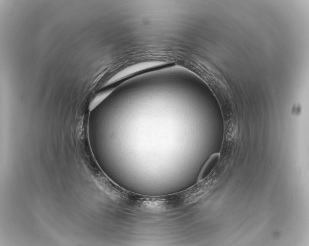 X0000093590560200710291125