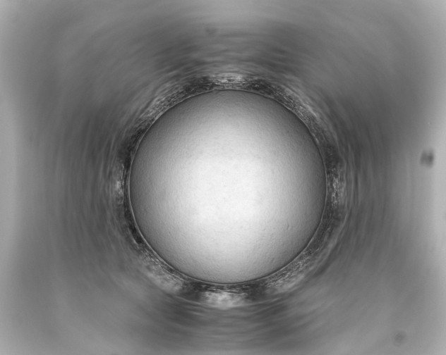 X0000093590561200710291125