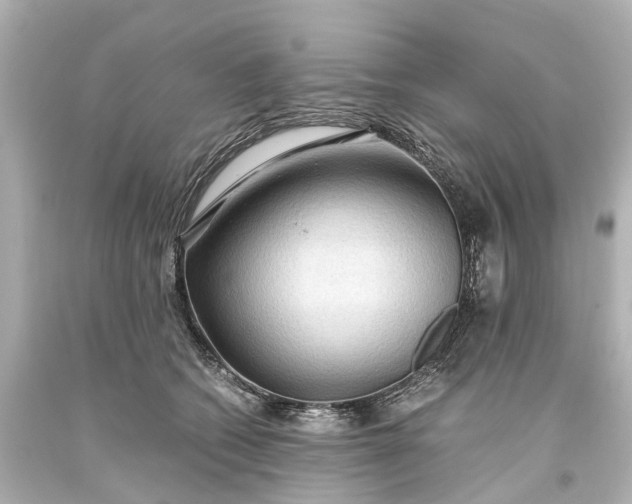 X0000093590562200710291125