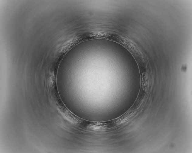 X0000093590563200710291125