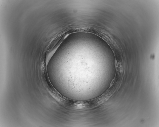 X0000093590564200710291125