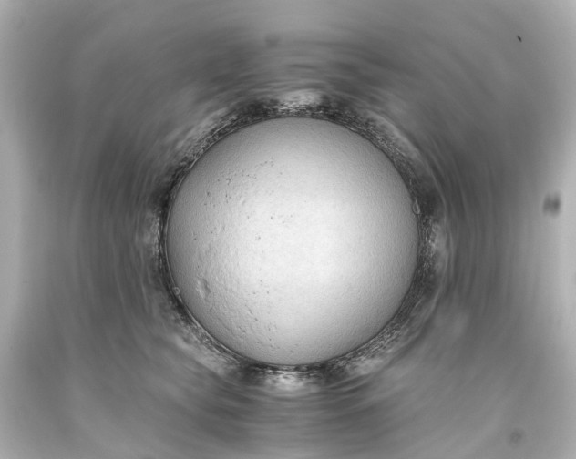 X0000093590565200710291125