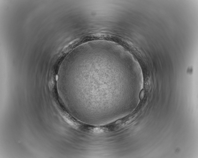 X0000093590566200710291125