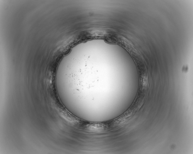 X0000093590567200710291125