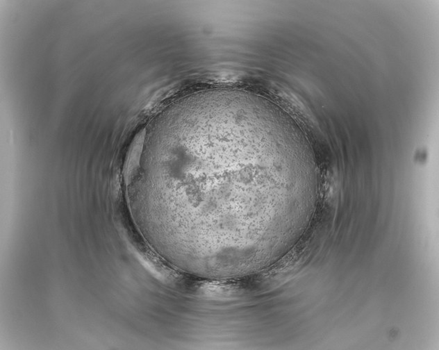 X0000093590568200710291125