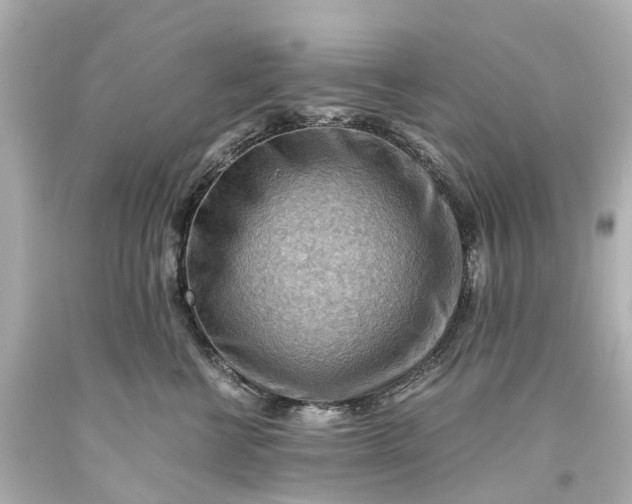 X0000093590570200710291125