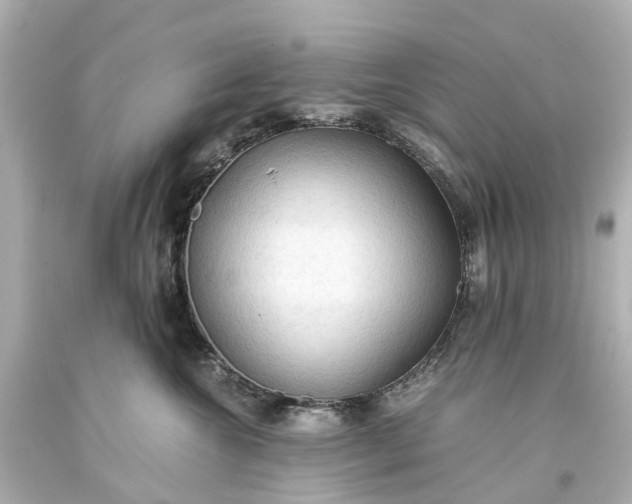 X0000093590572200710291125