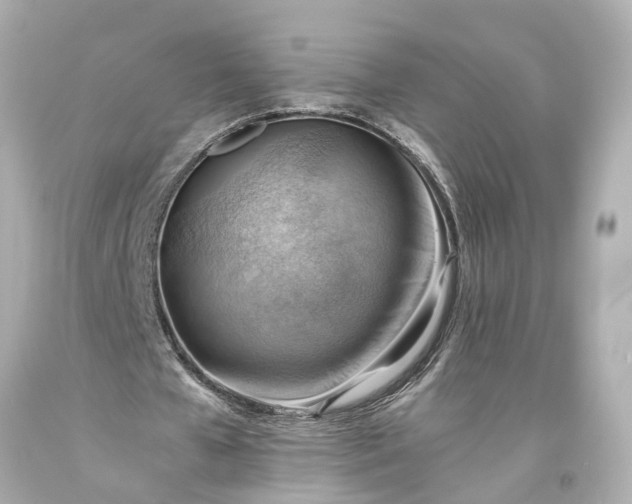 X0000093590577200710291124