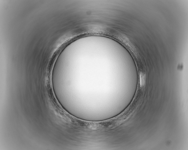 X0000093590579200710291124