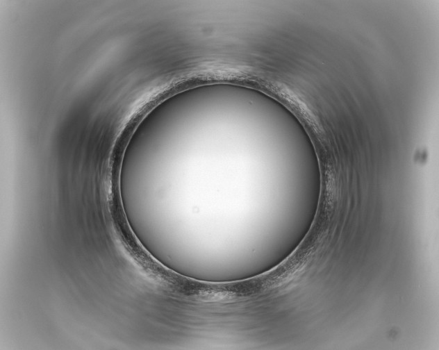 X0000093590582200710291124