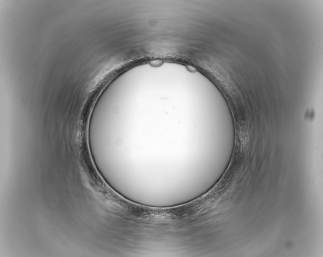 X0000093590583200710291124