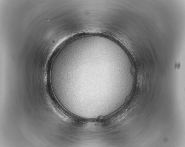 X0000093590584200710291124