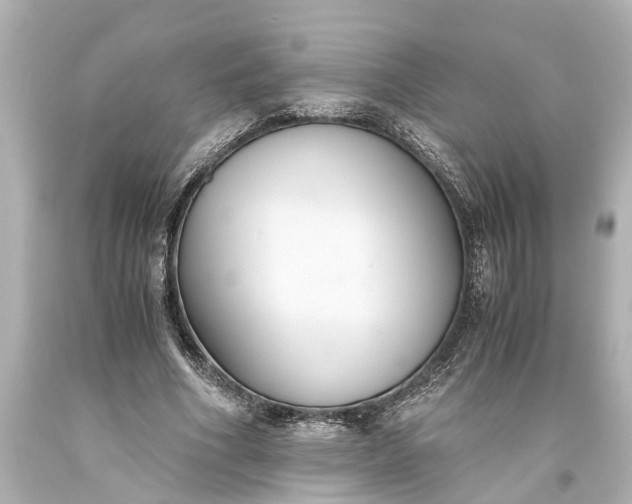 X0000093590586200710291124