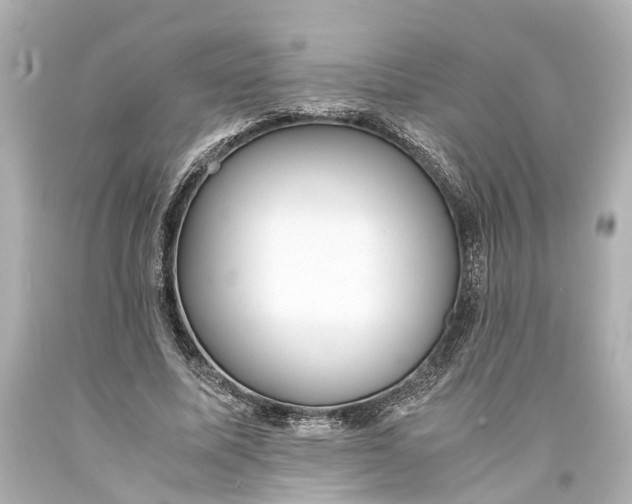 X0000093590587200710291124