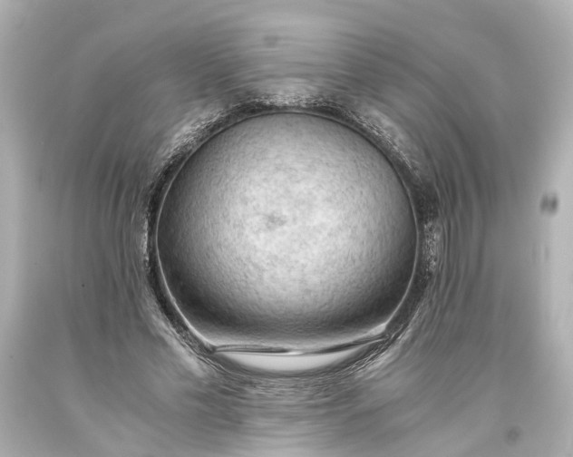 X0000093590589200710291124